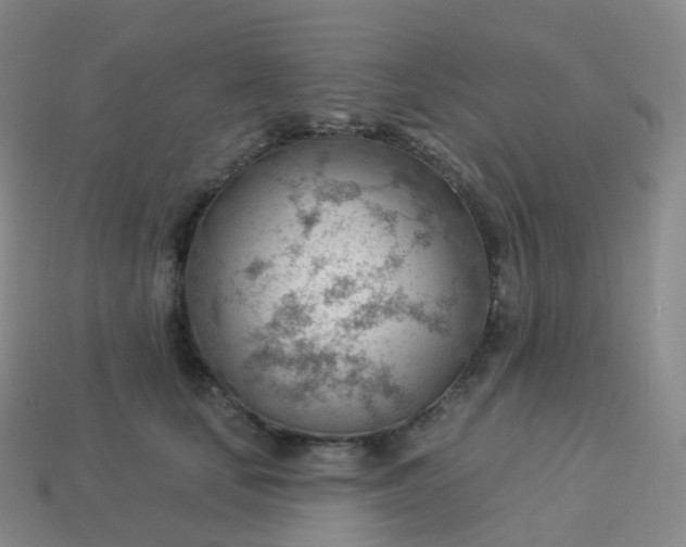 X0000113900659200910081830