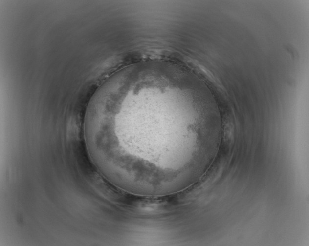 X0000113900661200910081830