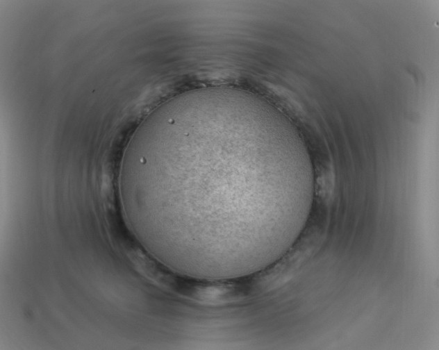 X0000113900662200910081830