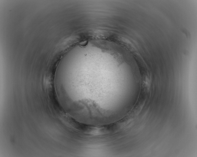 X0000113900663200910081830