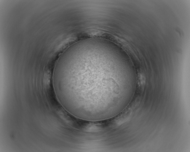 X0000113900664200910081830