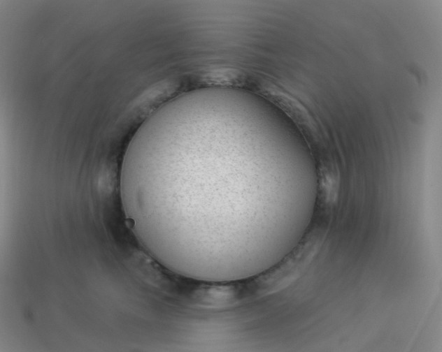 X0000113900665200910081830