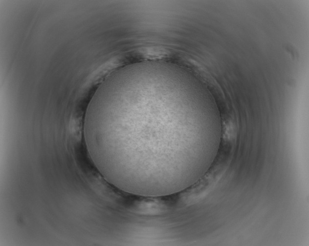 X0000113900666200910081830