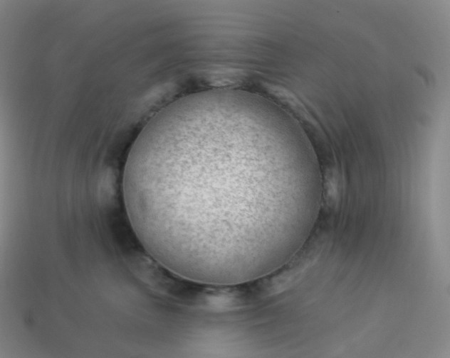 X0000113900667200910081830