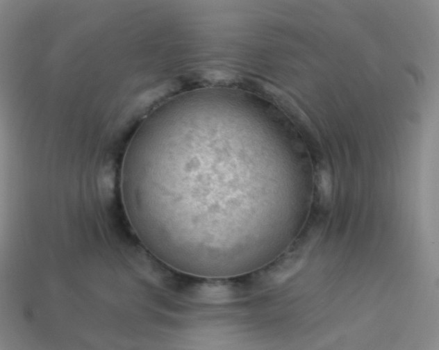 X0000113900668200910081830