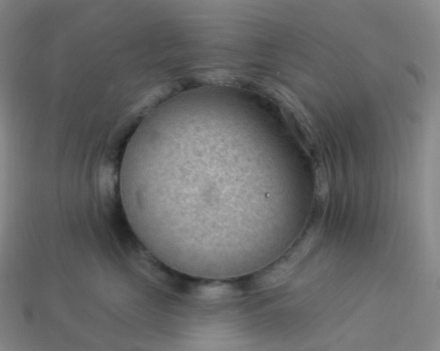 X0000113900669200910081830