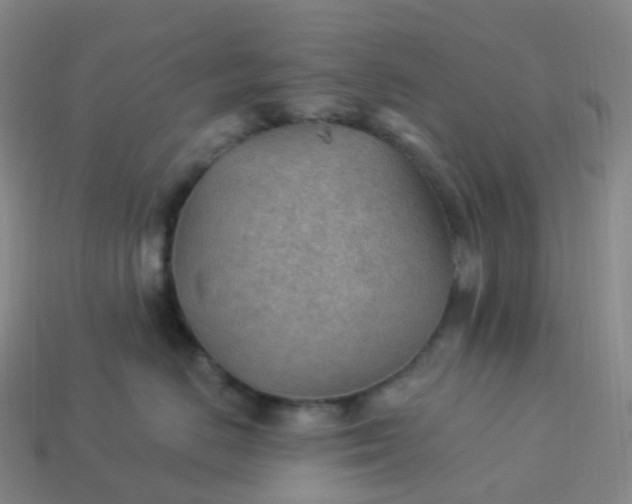 X0000113900670200910081830