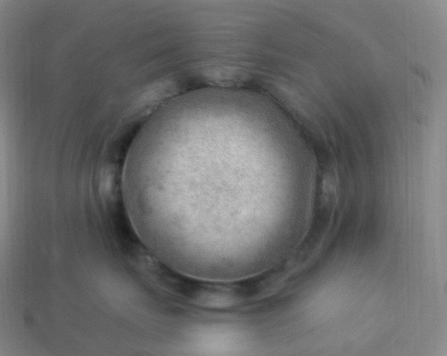 X0000113900671200910081830