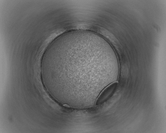 X0000113900673200910081829