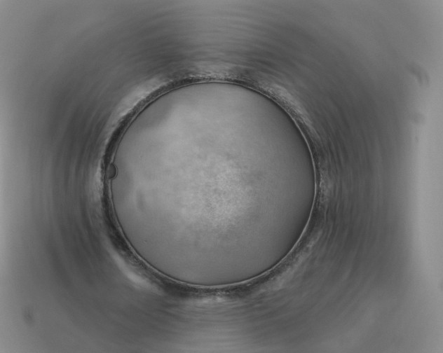 X0000113900674200910081829