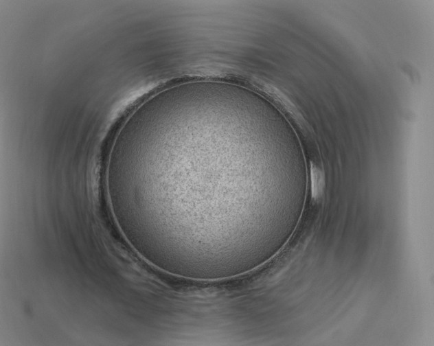 X0000113900675200910081829