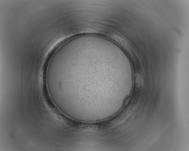 X0000113900676200910081829