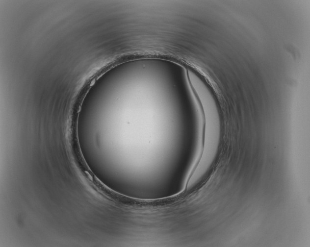 X0000113900677200910081829