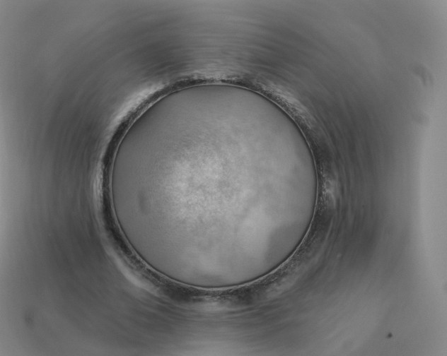 X0000113900678200910081829