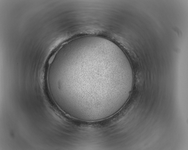 X0000113900679200910081829