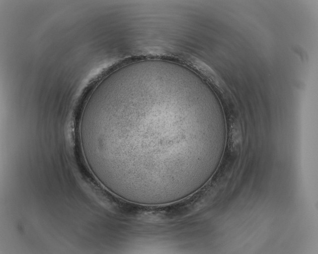 X0000113900680200910081829