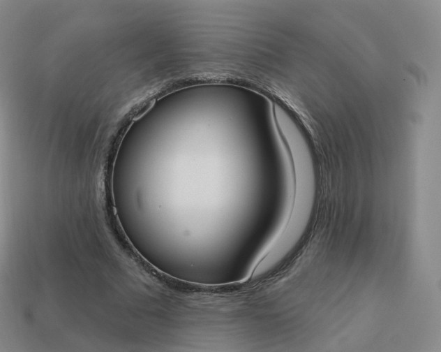 X0000113900681200910081829