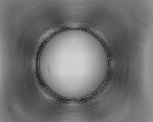 X0000113900682200910081829