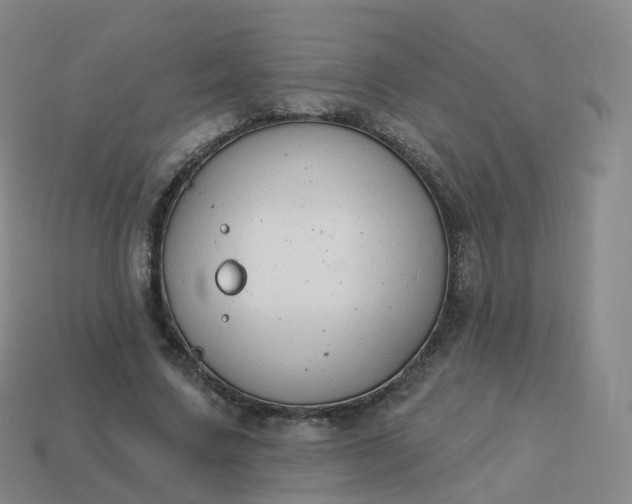 X0000113900683200910081829