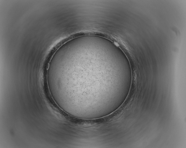 X0000113900684200910081829