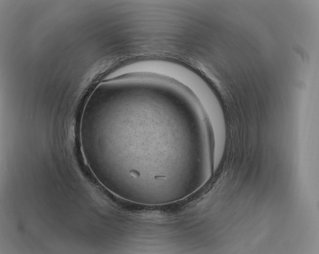 X0000113900685200910081829