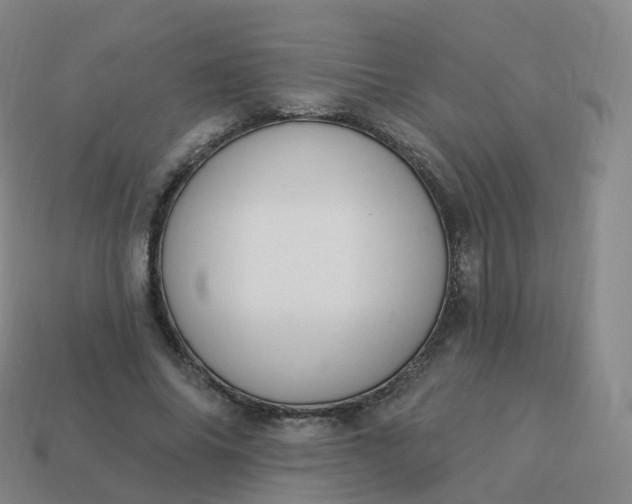 X0000113900686200910081829