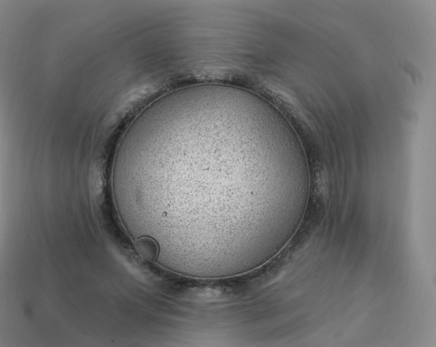 X0000113900687200910081829