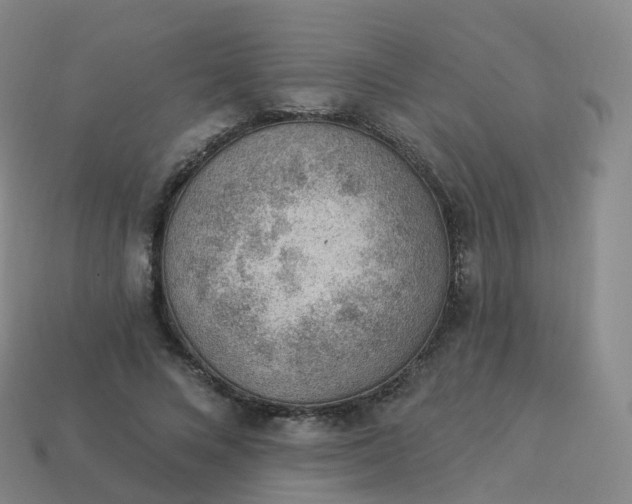 X0000113900688200910081829