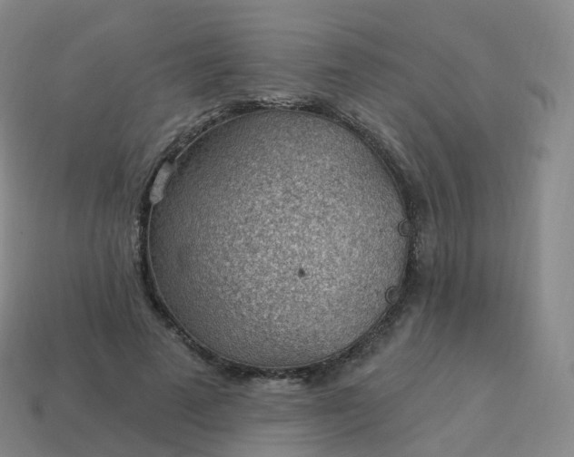 X0000113900689200910081829