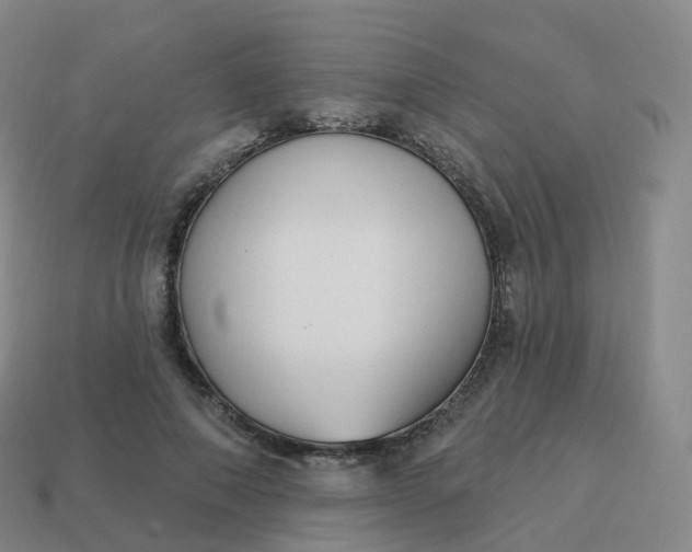 X0000113900690200910081829