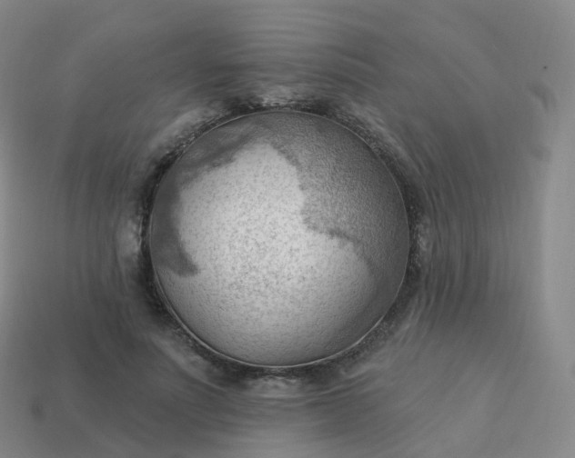 X0000113900691200910081829