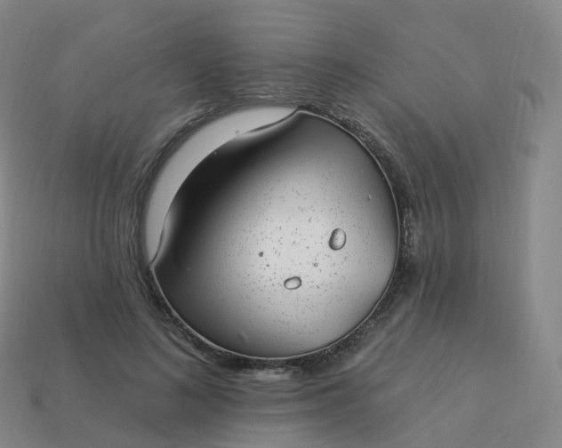 X0000113900692200910081829