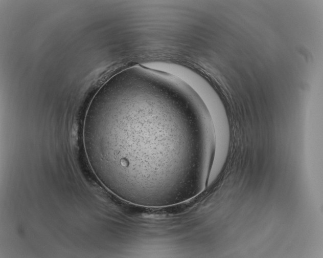 X0000113900693200910081829