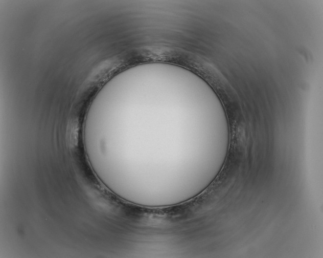 X0000113900694200910081829