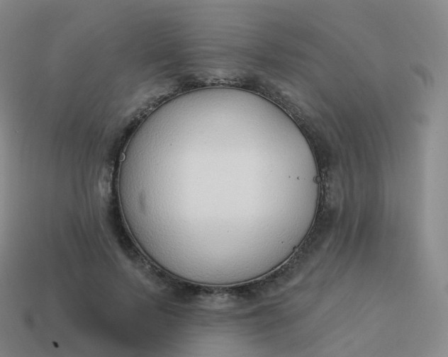 X0000113900695200910081829