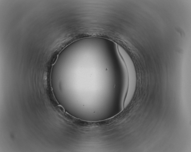 X0000113900696200910081829