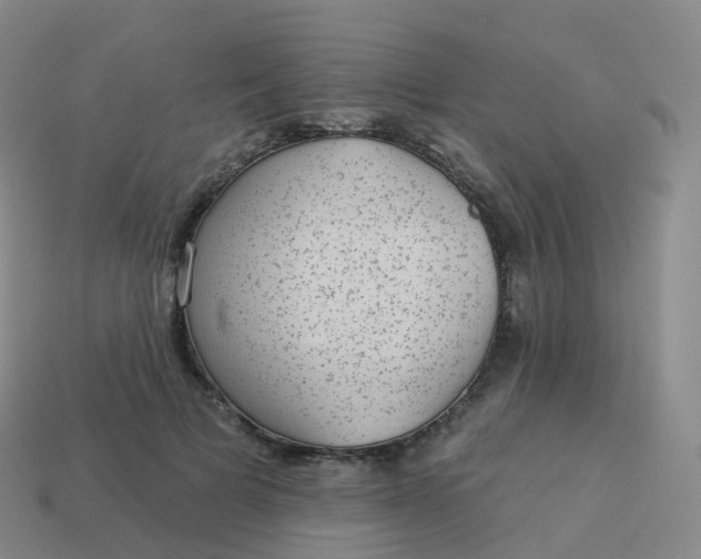 X0000113900697200910081829