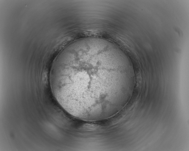 X0000113900699200910081829