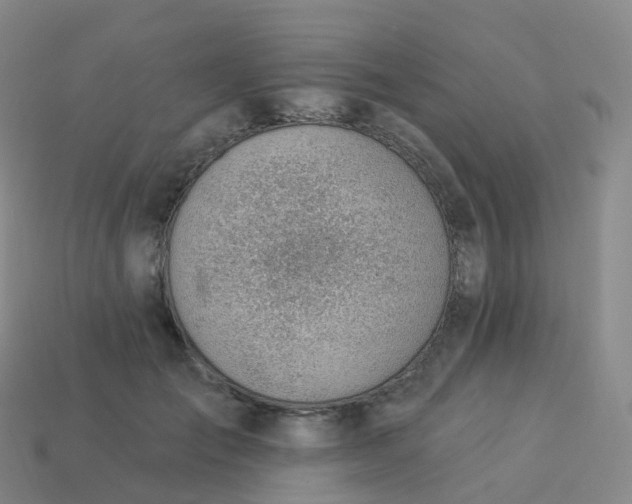 X0000113900701200910081829