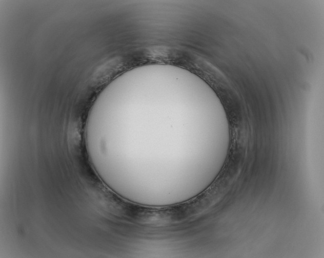 X0000113900702200910081829