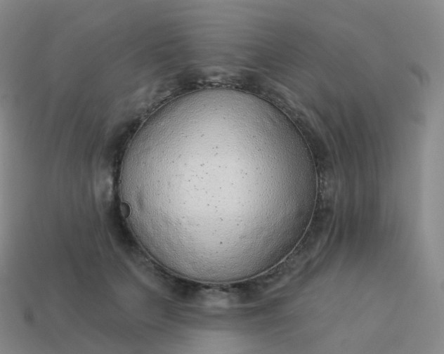 X0000113900703200910081829