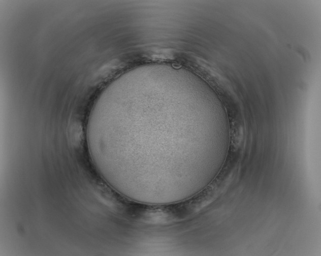 X0000113900704200910081829