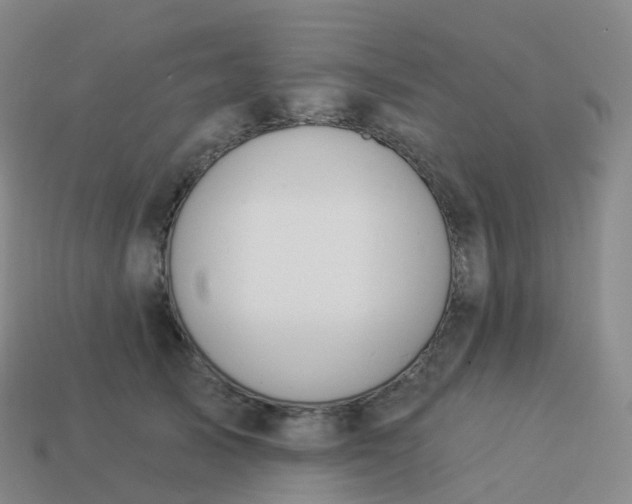 X0000113900705200910081829