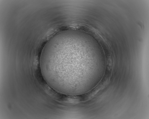 X0000113900707200910081829