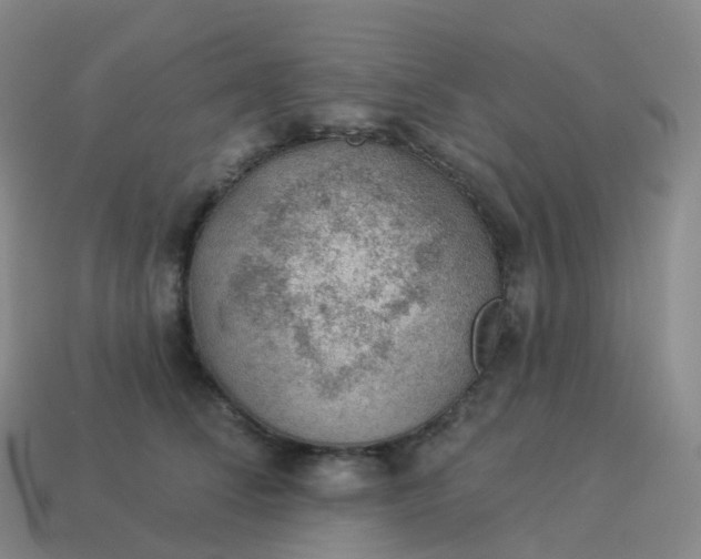 X0000113900708200910081829