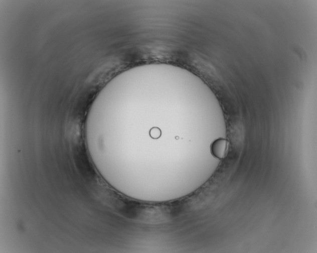 X0000113900709200910081829