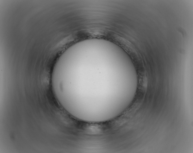 X0000113900710200910081829