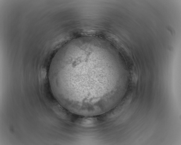 X0000113900711200910081829