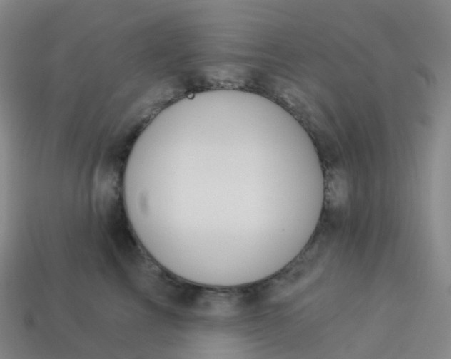 X0000113900713200910081829