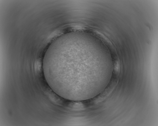 X0000113900715200910081829